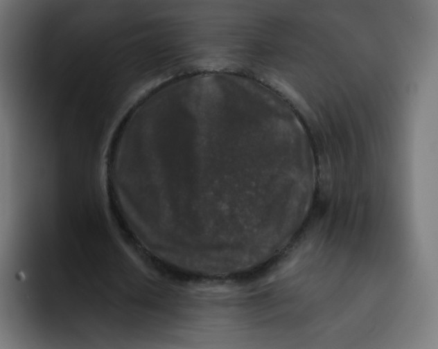 X0000092020626200710041044