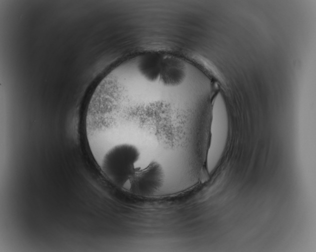 X0000092020627200710041044