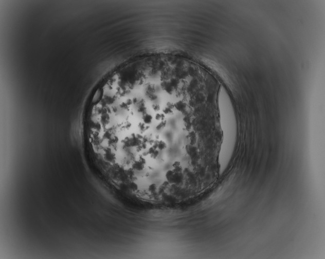 X0000092020630200710041044