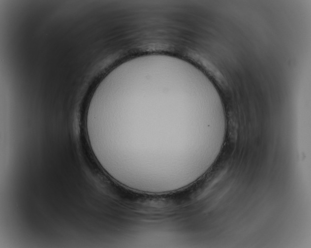 X0000092020631200710041044