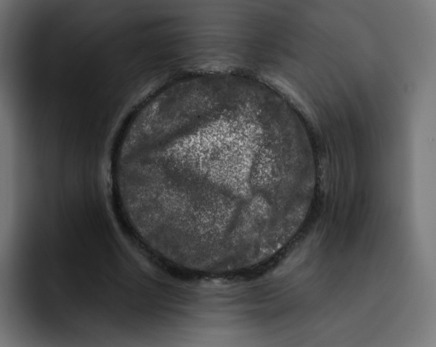 X0000092020634200710041044