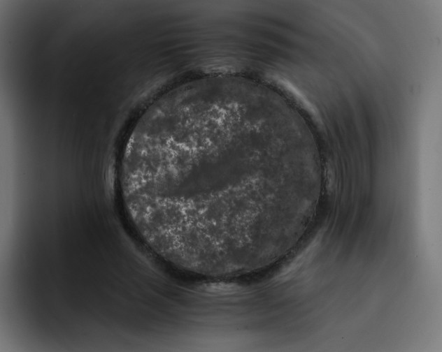 X0000092020637200710041044