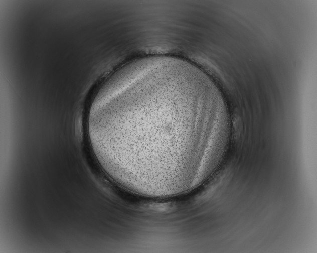 X0000092020638200710041044