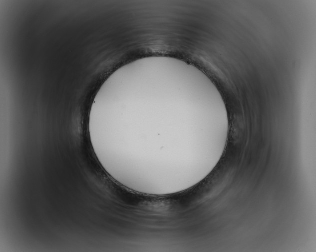 X0000092020639200710041044