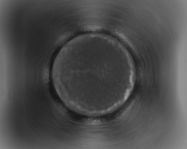 X0000092020640200710041044