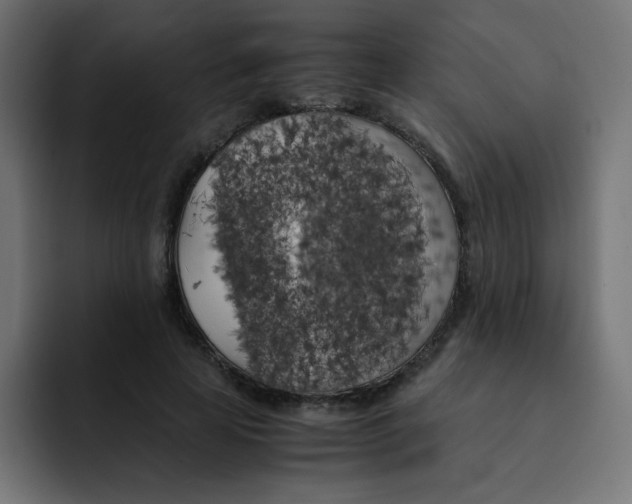 X0000092020641200710041044