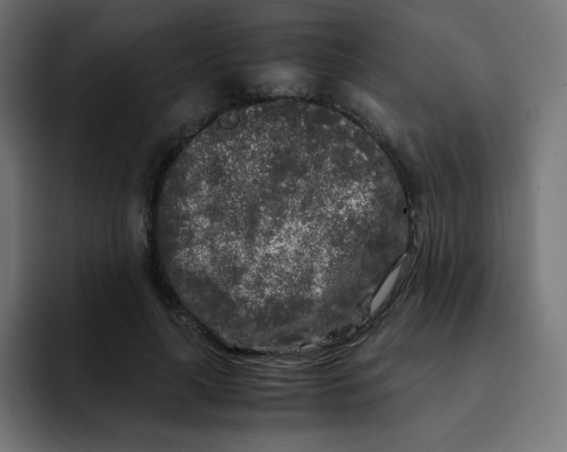 X0000092020643200710041044