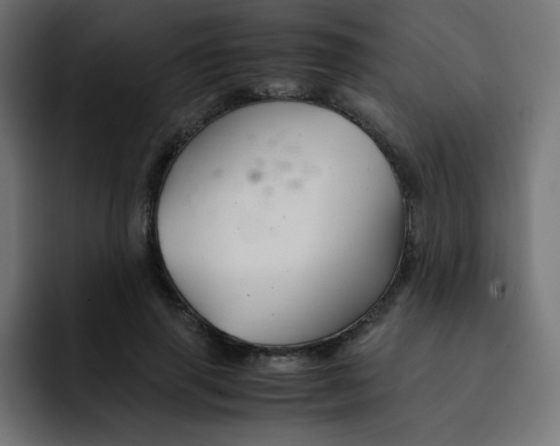 X0000092020645200710041044