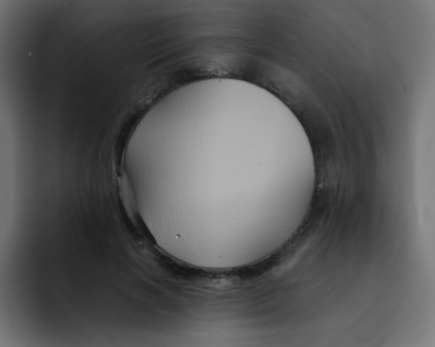 X0000092020646200710041044