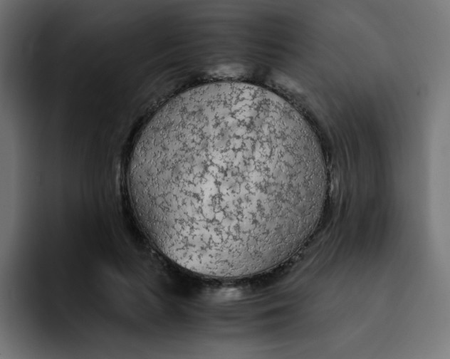 X0000092020647200710041044