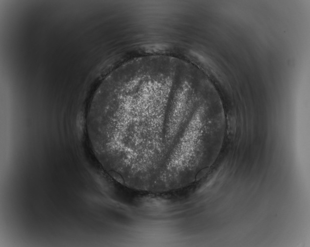 X0000092020648200710041044