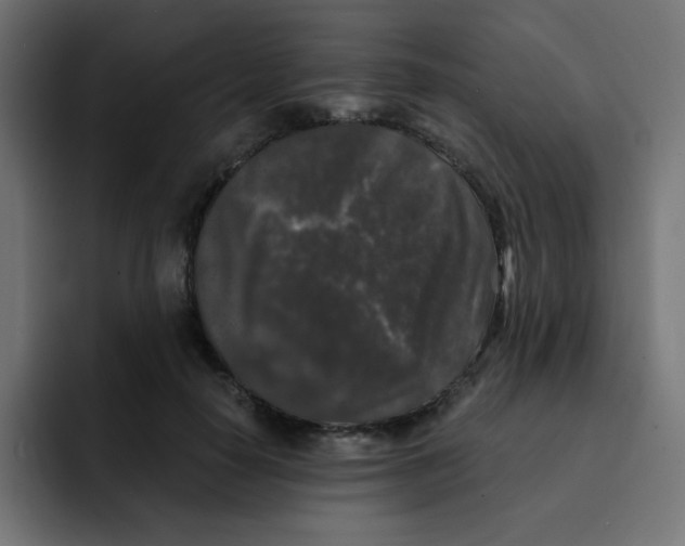 X0000092020650200710041044