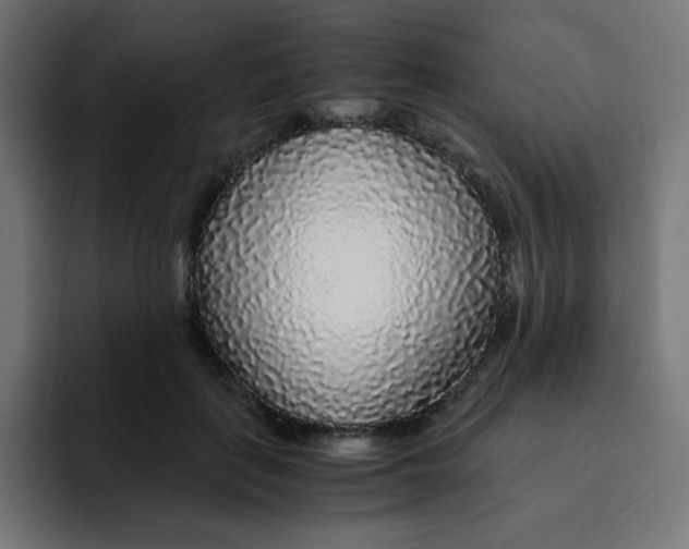 X0000092020651200710041044