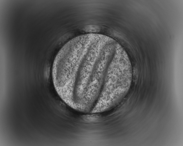 X0000092020652200710041044