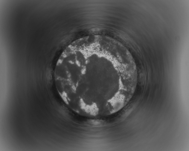 X0000092020654200710041044