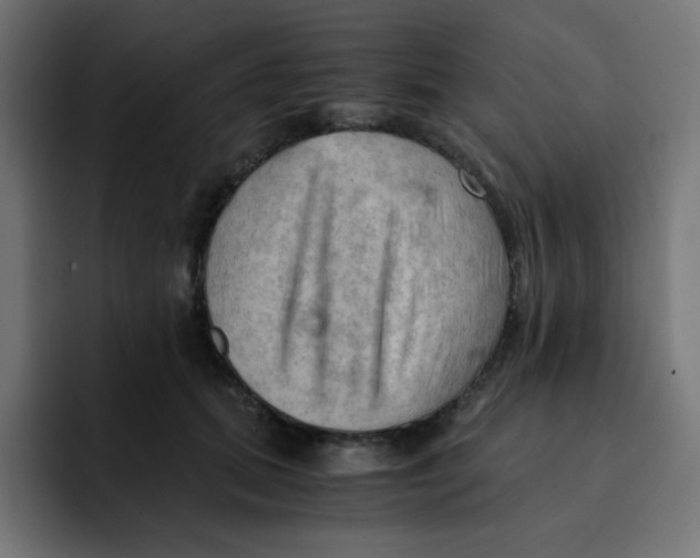 X0000092020655200710041044