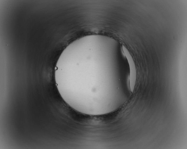 X0000092020656200710041044