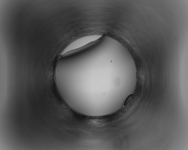 X0000092020657200710041044