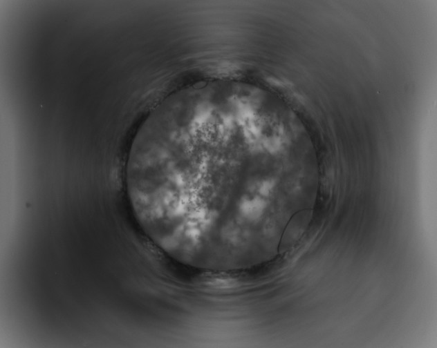 X0000092020658200710041044