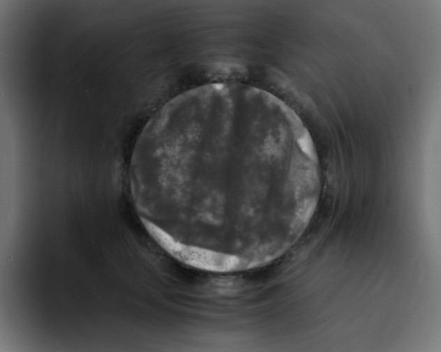 X0000092020659200710041044