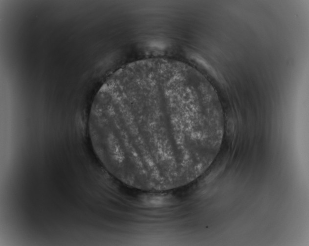 X0000092020661200710041044