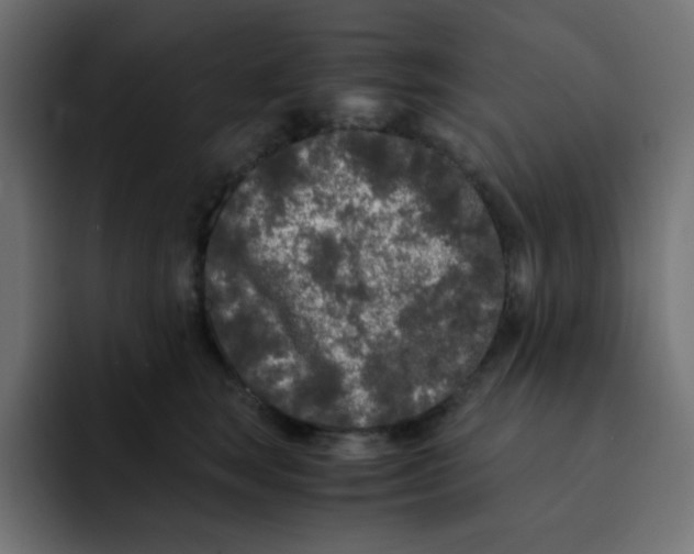 X0000092020663200710041044