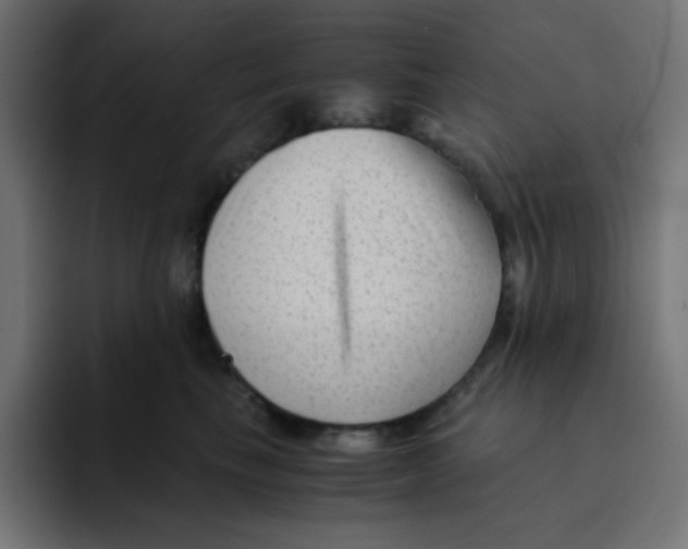 X0000092020665200710041044