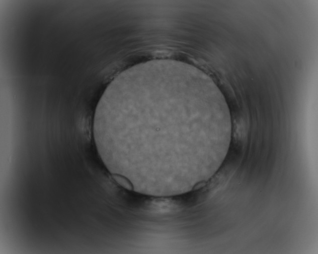 X0000092020666200710041044