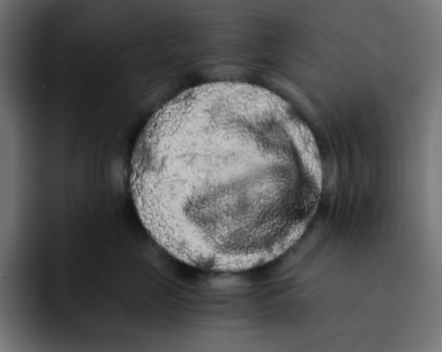 X0000092020669200710041044