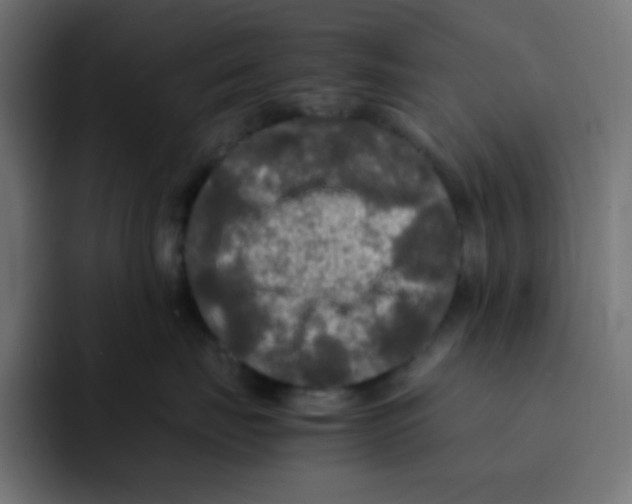 X0000092020671200710041044