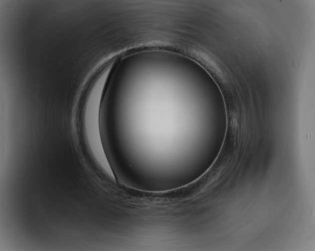 X0000092020676200710041044