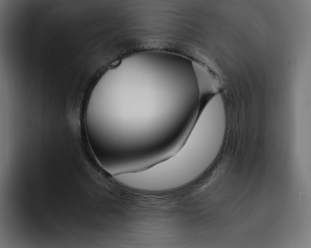 X0000092020681200710041044