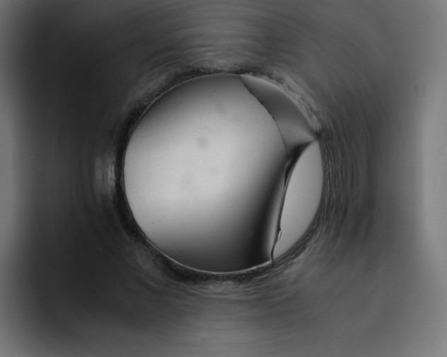 X0000092020685200710041044