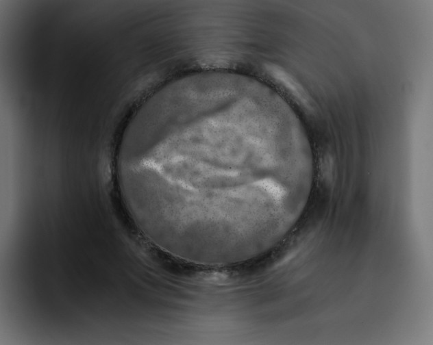 X0000092020687200710041044