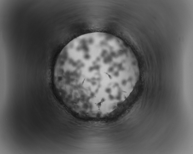 X0000092020689200710041044