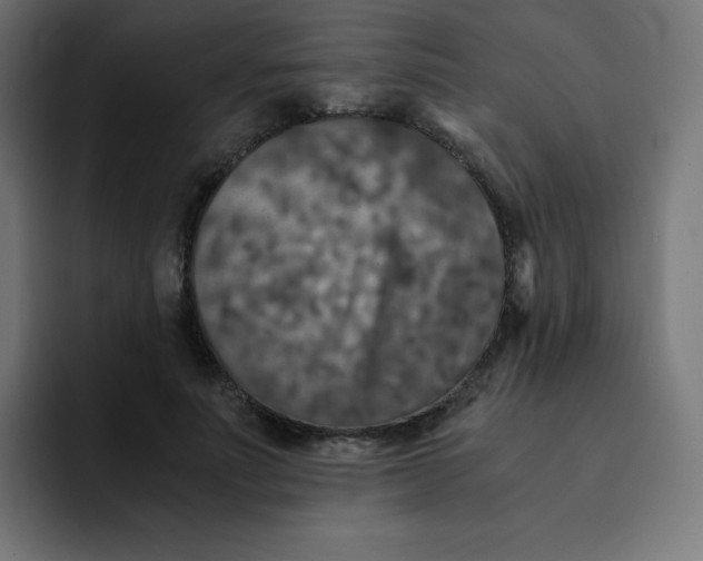 X0000092020691200710041044