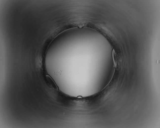 X0000092020693200710041044