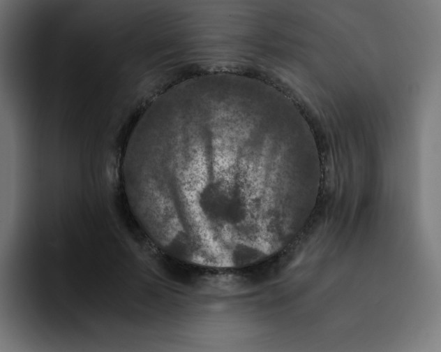 X0000092020695200710041044