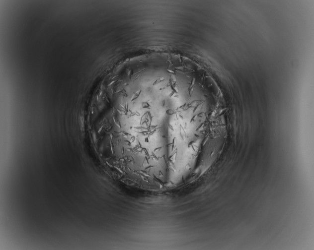 X0000092020696200710041044