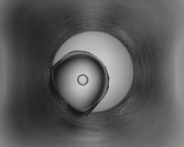 X0000092020697200710041044