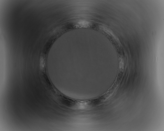 X0000092020701200710041044