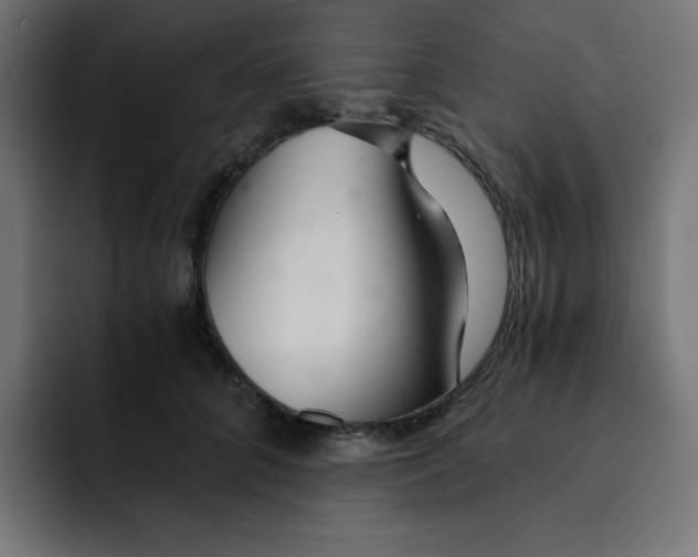 X0000092020704200710041044