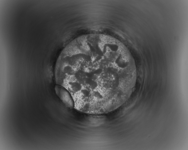 X0000092020707200710041043