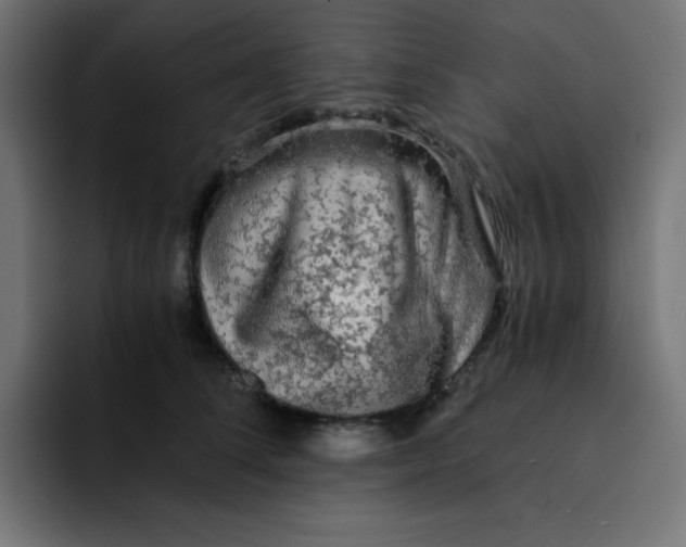 X0000092020708200710041043