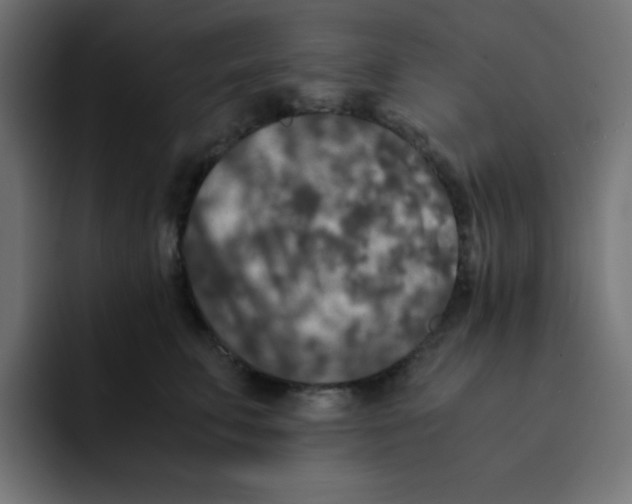 X0000092020711200710041043