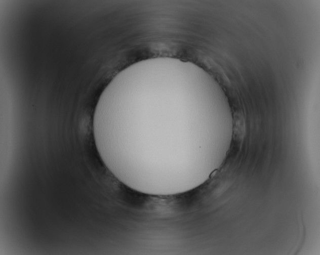 X0000092020713200710041043