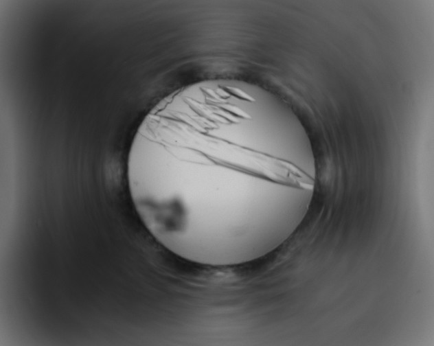 X0000092020715200710041043