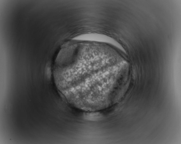 X0000092020716200710041043