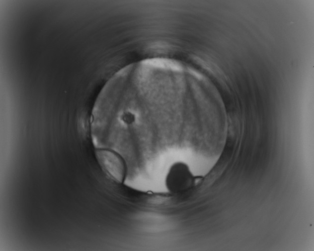 X0000092020718200710041043