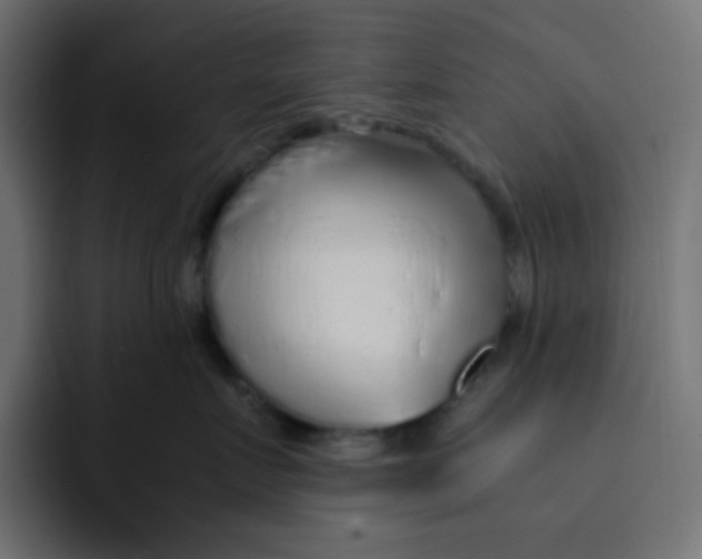 X0000092020719200710041043